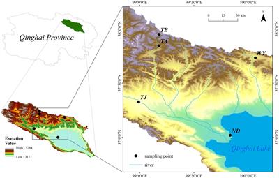 Vertical differentiation drives the changes in the main microflora and metabolites of carbon and nitrogen cycling in the early freeze–thaw period in the Qinghai Lake Basin